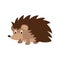 Cute cartoon hedgehog vector illustration