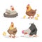 Cute cartoon hens set. Clockinh hen, mother with chickens, looking on wotm. Farm animals vector illustrations