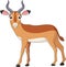 Cute Cartoon impala