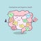 Cute cartoon intestine with reminder