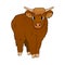 Cute Cartoon isolated small Bull highland cow is standing on the ground on white background