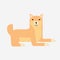 Cute cartoon japanese Shiba Inu dog vector