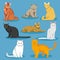 Cute cartoon kitties or cats vector set