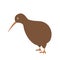 Cute cartoon kiwi vector illustration