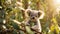 Cute cartoon koala eucalyptus australia animal leaf nature mammal adorable small