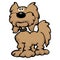 Cute Cartoon Labradoodle Dog Cartoon Isolated Vector Illustration
