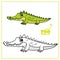 Cute cartoon little green crocodile color and outlined on a white background  for coloring page