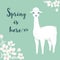 Cute cartoon llama character with cherry tree flowers and text Spring is here.