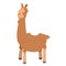 Cute cartoon llama vector illustration