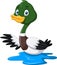 Cute cartoon Mallard duck waving