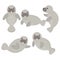 Cute cartoon manatee on white background. D