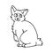 Cute cartoon monochrome Japanese Bobtail kitten vector lineart clipart. Pedigree kitty breed for cat lovers. Purebred