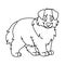 Cute cartoon monochrome lineart puppy australian shepherd dog vector clipart. Pedigree kennel doggie breed for dog lovers.