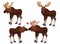 Cute cartoon moose vector set. Moose in different postures. Funny moose putting out his tongue, two mooses in love. Forest animals