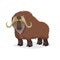 Cute cartoon muskox. Wild animal. Vector illustration for child books. Big furry cattle animal.