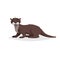Cute cartoon otter. Wild animal. Vector illustration for child books. Predator animal.