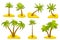 Cute cartoon palm on island set isolated on white background.