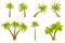 Cute cartoon palm set isolated on white background. Exotic trees in flat style. Double, triple palm. Tilted