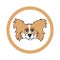 Cute cartoon Papillon face in circle dog vector clipart. Pedigree kennel doggie breed for kennel club. Purebred domestic