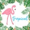 Cute cartoon pink flamingo on white background, wild tropical bird with exotic leaves and flowers, hand lettering, editable vector