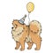 Cute cartoon pomeranian with party hat vector clipart. Pedigree kennel doggie breed for dog lovers. Purebred domestic