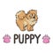 Cute cartoon pomeranian puppy with text word and paw print vector clipart. Pedigree kennel doggie breed for dog lovers