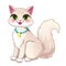 Cute cartoon pretty white girl cat