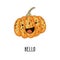 Cute cartoon pumpkin. Smiling isolated character.