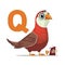 Cute cartoon quail standing on white background near big letter Q. Creative kids alphabet