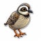 Cute Cartoon Quail Sticker With Multidimensional Shading