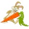 Cute cartoon rabbit