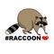 Cute cartoon raccoon