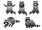 Cute cartoon raccoon vector set. Raccoon in different postures. Standing raccoon, hugs, washing and sitting raccoon. Forest