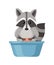 Cute cartoon Raccoon washes clothes in a plastic basin. Cartoon animal character design. Flat  illustration isolated on