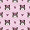 Cute cartoon Ragdoll cat face with pink bow seamless vector pattern. Pedigree kitty breed domestic kitten background