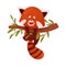 Cute Cartoon Red Panda Hanging on Tree Branch Vector Illustration