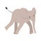 cute cartoon running baby elephant illustration isolated on white