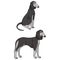 Cute cartoon Saluki dog vector clipart. Pedigree borzoi dog for kennel club. Purebred domestic sighthound puppy training
