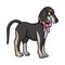 Cute cartoon saluki puppy dog with girly bow vector clipart. Pedigree kennel doggie breed for dog lovers. Purebred domestic for