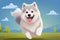 Cute cartoon samoyed husky dog anime plays, runs and smiles