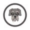 Cute cartoon Schnauzer face in circle dog vector clipart. Pedigree kennel doggie breed for kennel club. Purebred