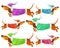 Cute cartoon set dachshunds in colorful winter clothes