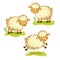 Cute cartoon sheep set.