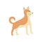 Cute cartoon shiba inu dog standing and smiling with wagging tail