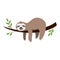 Cute cartoon sloth sleeping on a branch