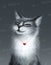 Cute cartoon smiling cat. Happy grey cat poster design