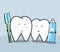 Cute cartoon Smiling tooth and brushing teeth