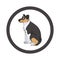 Cute cartoon Smooth Collie in dotty circle dog vector clipart. Pedigree kennel doggie breed for kennel club. Purebred