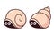 Cute cartoon snail shells with eyes