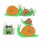 Cute cartoon snails set.